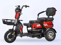 Vélo électrique 48V 1000W avec moteur arrière sans balais, vélo de ville électrique à 3 roues en alliage d'aluminium, batterie au plomb-acide