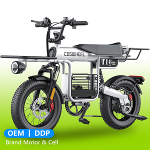 Vélo électrique COSWHEEL 1000W 48V 15AH haute vitesse, frein à disque en alliage 16 pouces, 7 vitesses, mini vélo de ville, vélo électrique - Product Image 2