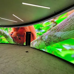 Schermo di visualizzazione a led flessibile con schermo a led comodo e pratico