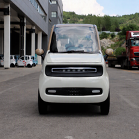 Voiture électrique homologuée pour la circulation routière en Europe, mini véhicule électrique avec 2 portes et 2 sièges, quatre roues, véhicule électrique pour adultes, certifié EEC COC L6e-B