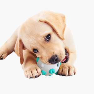 Jouet à mâcher pour chien de haute qualité, écologique, durable, pour chiot, bâton à mâcher pour nettoyer les dents, balle à mâcher pour animaux de compagnie - Product Image 2