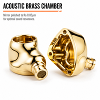 Coque d'écouteurs en titane usinée sur mesure par CNC, cavité acoustique haut de gamme pour IEM, OEM