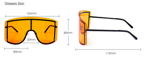Gafas <span class=keywords><strong>de</strong></span> <span class=keywords><strong>sol</strong></span> <span class=keywords><strong>de</strong></span> gran tamaño con diseño <span class=keywords><strong>de</strong></span> <span class=keywords><strong>marca</strong></span> CE para mujer, gran templo ancho 2020, gafas <span class=keywords><strong>de</strong></span> <span class=keywords><strong>sol</strong></span> a la moda UV400 - Product Image 5
