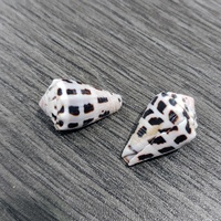 Vente en gros de coquillages naturels en vrac, petits coquillages hébraïques en forme de cône, Conus Ebraeus XS, pendentif en coquille hébraïque pour cadeau, décoration de la maison