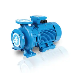 China Leverancier Industriële Zware Horizontale Eindzuig Elektrische Eentraps Rivier 7,5 Pk Waterpomp