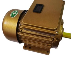 Moteur de concasseur monophasé asynchrone 3,0 kW série YL90L-2, large plage de tension 180-220 V, moteurs AC - Product Image 3
