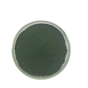 有機天然台湾グリーン宝石クロレラ粉末藻類クロレラエキス