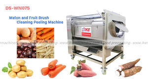 Machine <span class=keywords><strong>de</strong></span> nettoyage <span class=keywords><strong>de</strong></span> fruits et d'eau pour légumes racines Taro Papaye Laveuse <span class=keywords><strong>de</strong></span> patates douces avec pompe à moteur Nettoyant <span class=keywords><strong>de</strong></span> matières premières - Product Image 3