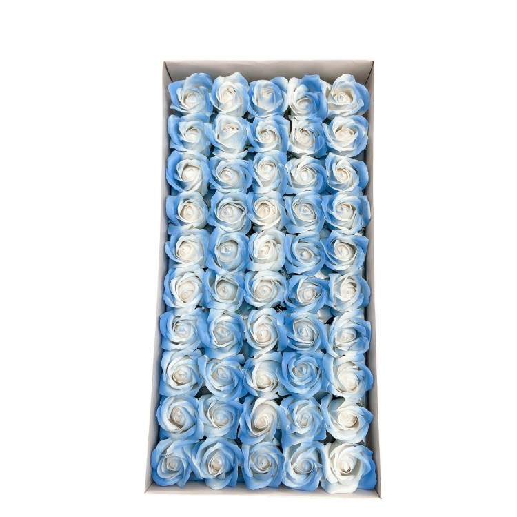 Bleu 2