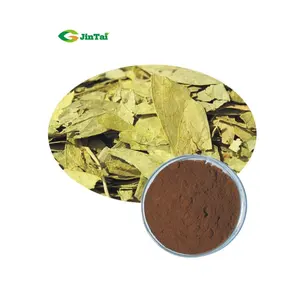 8% 20% Sennoside senna leaves Senna Leaf Extract Powder