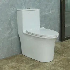 Fabrik großhandel Siphonic One Piece Toiletten schüssel mit weichem Toiletten sitz Keramik Badezimmer Randloser Wassers chrank