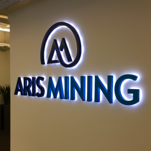 Lettres métalliques rétroéclairées personnalisées LC, lettres 3D lumineuses, enseigne à lettres LED, enseigne rétroéclairée LED pour mur de réception ou hall. - Product Image 3