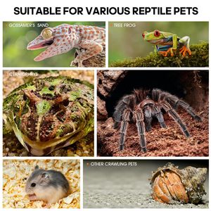 Terrarium empilable en acrylique pour reptiles, avec porte magnétique, habitat d'escalade arboricole, pour crabes ermites et petits animaux - Product Image 2