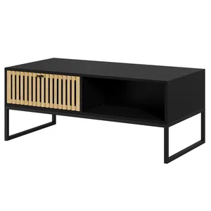 Factory Direct Rectangular Iron Wood Industrial Centre Coffee Table With Bamboo Door