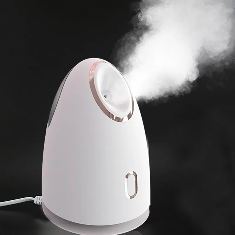 New Home Convenience Beauty Equipment To Maintain Skin Moisturizing Rechargeable Facial Humidifier