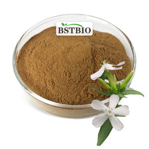 BSTBIO Herbal Quillaja Saponaria Extracto de corteza en polvo Saponinas 60% 80% Quillaja Saponaria Extracto - Product Image 1