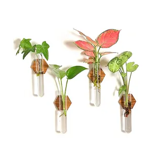 Custom Gift Wall Hanging Glass Planter Test Tube Vase Wall Hanging Terrarium Plant Propagation Stations with Wood Hook