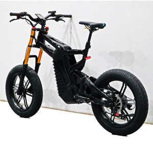 20Inch <b>Fat</b> Tire <b>Ebike</b> <b>Frame</b> with Light 1000W Carbon Fiber Basic Version 48V 20Ah Lithium Battery Dirt Bike for Adults - Product Image 1