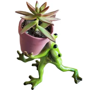 Offre Spéciale 2022 nouvel an Mini succulentes grenouilles mignonnes Pot de fleur Unique drôle résine dessus de Table jardinière avec trou de Drainage