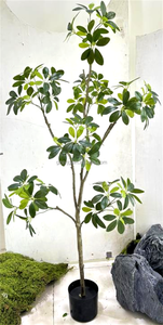 Pie de pato artificial de madera resistente a los rayos UV planta verde artificial en maceta para interior hogar Hotel ventana pantalla decoración bonsái - Product Image 5