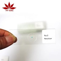 Laboratory customizable microscope biological plant slices botany microscope slides 5pcs set