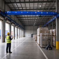 Pont roulant monopoutre sur rail avec palan pour le chargement et le déchargement de marchandises dans les hangars logistiques