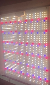 Samsung 320W per <span class=keywords><strong>Quantu</strong></span> Board LED coltiva pannelli luminosi Evo spettro completo UV IR 3000K per la coltivazione di piante Indoor - Product Image 6