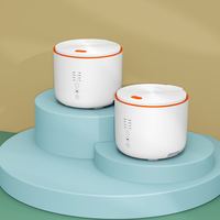 Olla Arrocera Rápida HY 2L 600w, Ahorro de Energía, Uso Doméstico en la Cocina, Olla Eléctrica Multifuncional