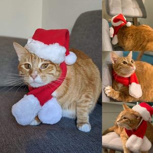 ペット用 誕生日帽子とネクタイセット 耳穴付き サンセット ウィンターハット クリスマスキャップ 野球帽 猫 犬用帽子 クリスマスセット - Product Image 5