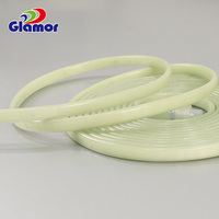 Bande lumineuse LED fluorescente avec fonction d'urgence, protection contre les pannes de courant, éclairage coupable, IP65, AC 100-240V, garantie 2 ans