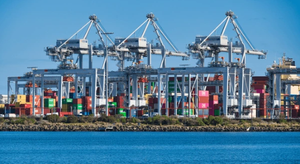 El Envío Marítimo FCL LCL Más Económico, Carga Aérea, Logística de Mercancías Sensibles a Canberra, Auckland, Wellington, Adelaida, Melbourne, Sídney - Product Image 3