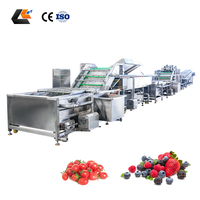 Olijvenreiniger Avocado Ui Sorteermachine Industriële Passievrucht Wasmachine Fruit/Groente Verwerkingslijn