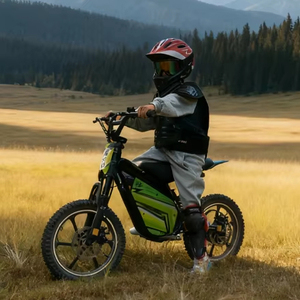 Moto tout-terrain électrique pour enfants eahora Ultra Bee Moto tout-terrain électrique haute performance Vélo électrique tout-terrain - Product Image 1