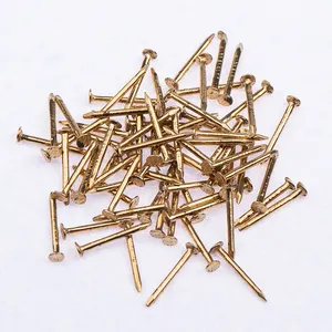 Unhas comuns Pequeno Flat Round Head Brass Nail 0.9*10mm Mini Brass Nail