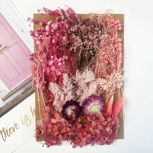 ดอกไม้งานฝีมือแบบผสมเรซินสำหรับงานศิลปะทำจากเรซิ่นดอกไม้แห้งอัดแน่นเป็นธรรมชาติ - Product Image 6