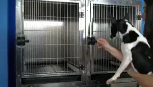 Cage de transport professionnelle pliable pour animaux de compagnie, cage d'antihf pour chats et chiens