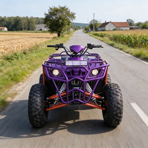 Buggy tout-terrain robuste avec châssis robuste et cage de protection pour une exploration sécurisée <span class=keywords><strong>des</strong></span> sentiers non pavés - Product Image 4