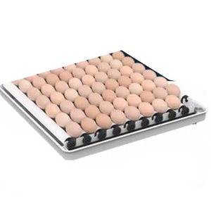 Jiatai Bán Buôn Trắng 10 15 30 48 70 130 Trứng Hoàn toàn Tự Động Lồng Ấp Cho Gà Vịt Ngỗng Chim - Product Image 6