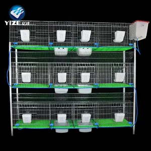 Cheap Rabbit Farming Cage for sale Industrial 12 doors cage for Rabbit ,Commercial rabbit cage in Malaysia Philippines