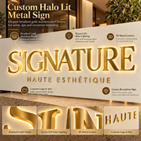 Enseigne personnalisée en acier inoxydable doré avec logo 3D et rétroéclairage LED halo chaud pour la décoration murale de salon de beauté, spa, clinique ou réception