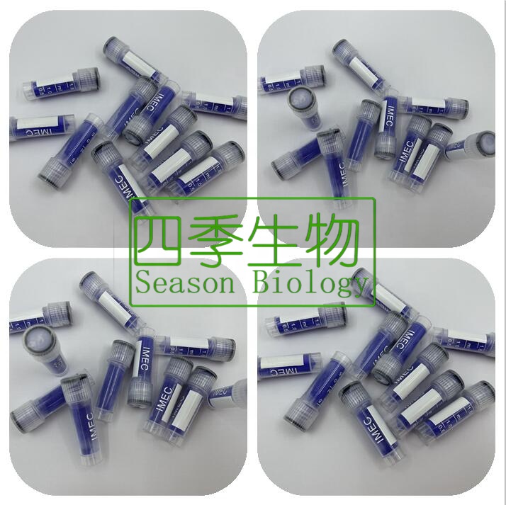 ghk cu peptide injection before and after reddit 1g AHK-CU Copper Peptides Raw Material, 98% Purity, Soluble in Water