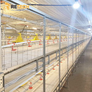 Équipement d'élevage de poulets de chair automatique multi-niveaux à chaîne avec système de contrôle climatique avicole - Product Image 1