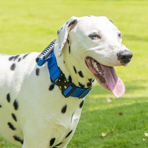 Kingtale Pet SuppliersTactical Training Nylon <strong>Control</strong> Handle and Quick-Release Metal Buckle <strong>Collar</strong> for <strong>Dog</strong> - Product Image 4