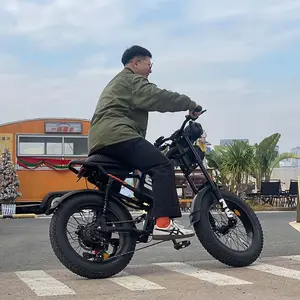 승마 시간 뚱뚱한 타이어 Ebike 슈퍼 파워 250w 500w 전기 자전거 해변 전기 자전거