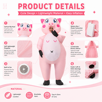 Costume de mascotte gonflable pour fête cosplay, combinaison amusante pour déguisement