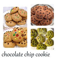 Bakenati 208 Nouvelle machine à biscuits aux pépites de chocolat multifonctionnelle automatique à haute capacité, ligne de production de biscuits commerciale