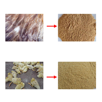 Machine de haute qualité pour la production de poudre de sang et de farine de plumes, à vendre pour l'utilisation dans les élevages de poulets