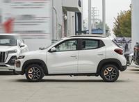 Dongfeng Nano BOX Modèle 2022 Nouvelle Énergie Champion Light Wind Edition Mini SUV Électrique Chinois 4 Places Voiture Familiale Autonomie 201-300km