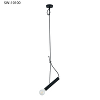 Lámparas Colgantes LED Redondas de Hierro Negro Estilo Nórdico Moderno, Personalizadas, 220V E27, para Dormitorio