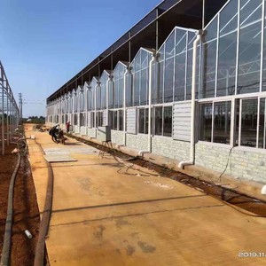Serres agricoles monopente à grande couverture en polycarbonate pour la culture biologique de légumes et la pisciculture - Product Image 2